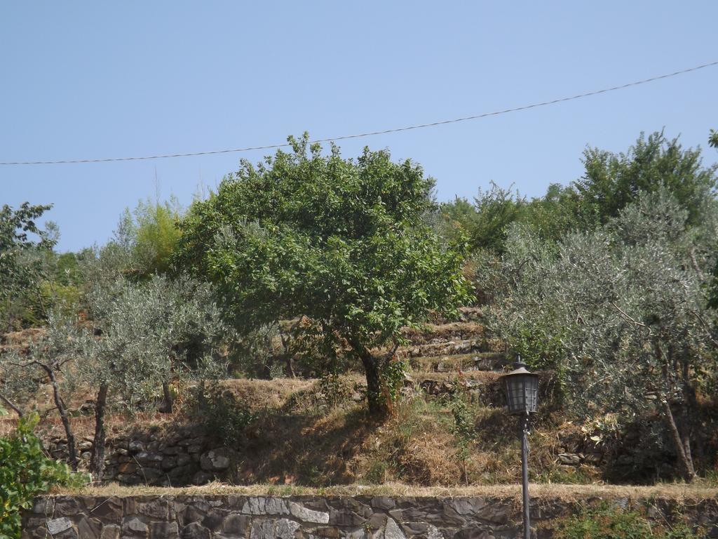הוילה רג'לו Rifugio Al Sole חדר תמונה